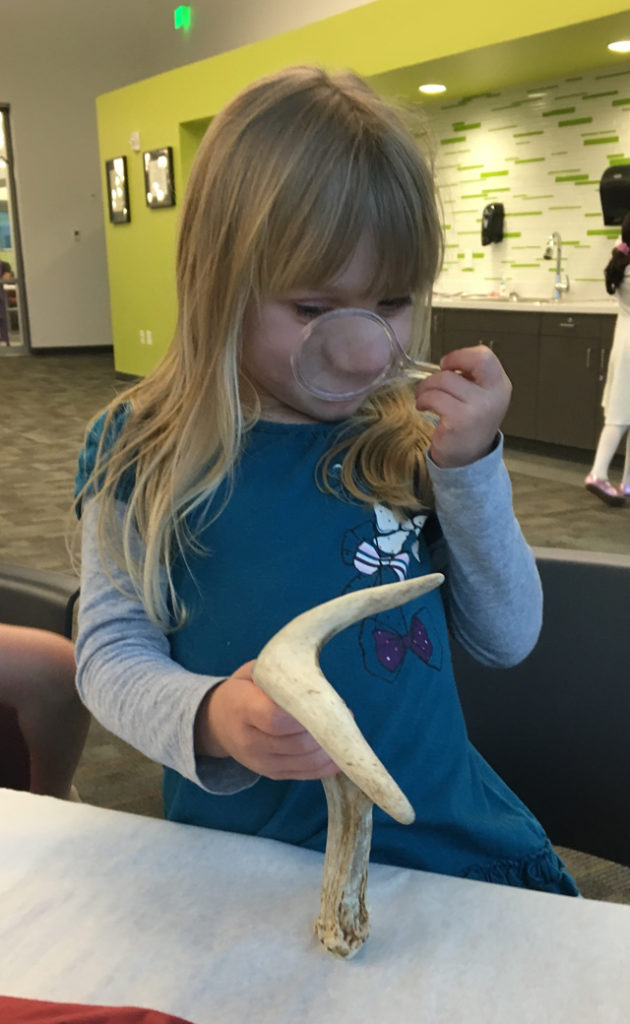 Bellevue A & N #7, ©2017 Patricia Earnhardt